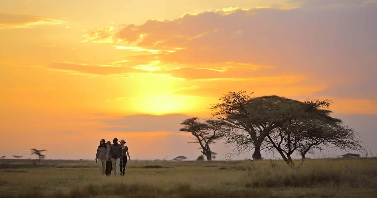 Sunset view over the Serengeti plains